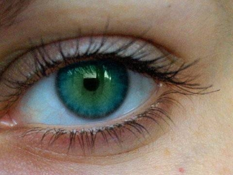 Марихуана от глаукома болезни ствола конопли